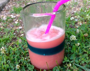 Watermelon Slushie