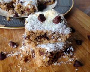 Chocolate Chip Coconut Pecan Bars