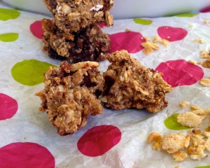 Guilt Free (Secretly Vegan) Granola Bites