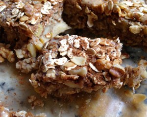 Apple Cinnamon Breakfast Cake Squares