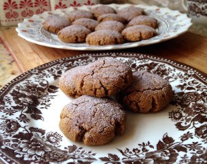 Mocha Cinnamon Snickerdoodles