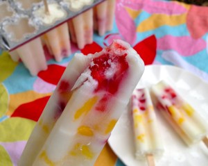 Homemade Frozen Yogurt Fruit Pops