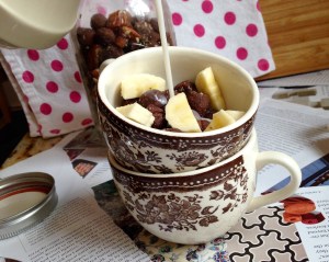 Gluten Free Chocolate Gingersnap Cereal