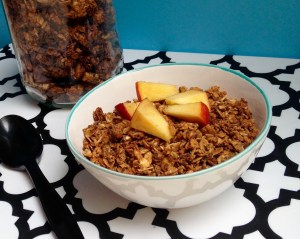 Peanut Butter Crunch Granola