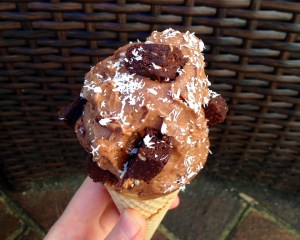 Chocolate Brownie Fudge Ice Cream